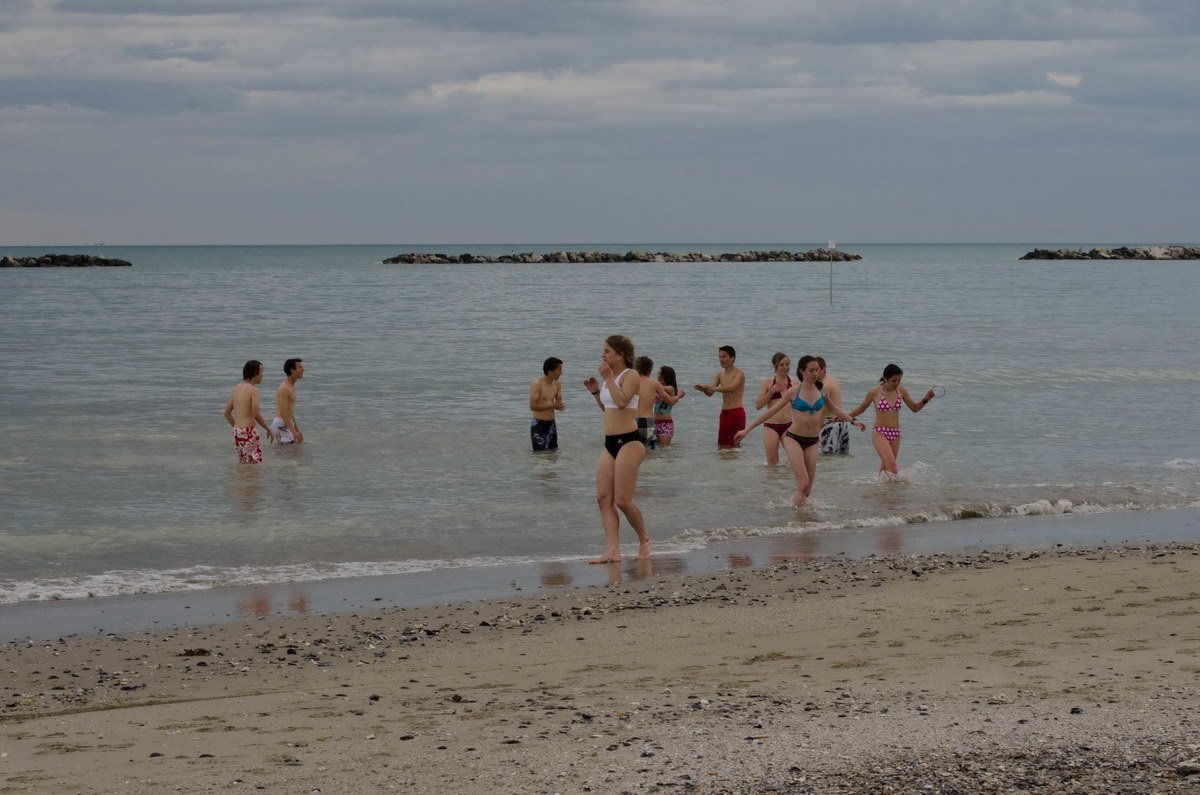 dsc_6264.jpg