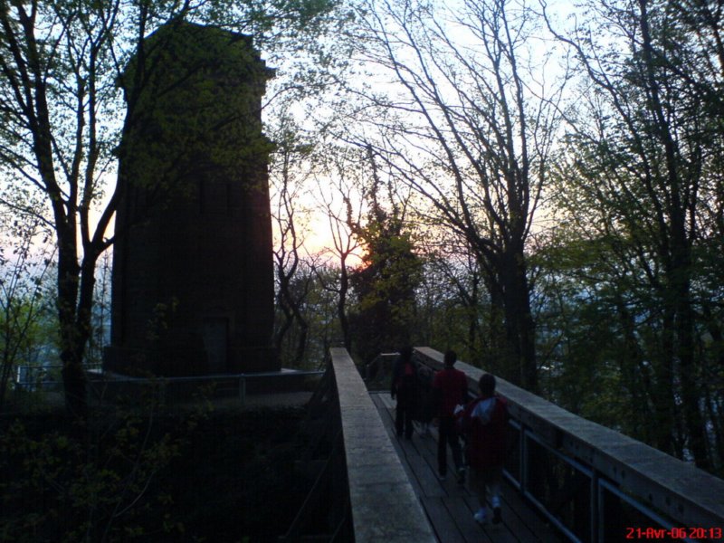 dsc00368.jpg