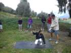 dsc00527_small.jpg