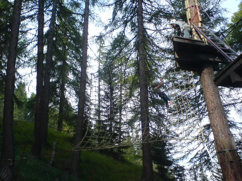 dsc00784.jpg