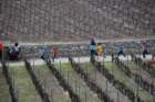 dsc_0344_small.jpg