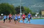 dsc_0170_small.jpg