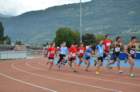 dsc_0172_small.jpg