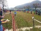 _110224_small.jpg