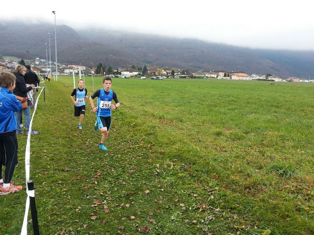 _120147.jpg