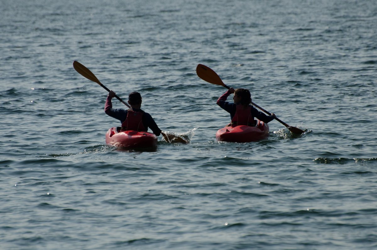 dsc_9427.jpg
