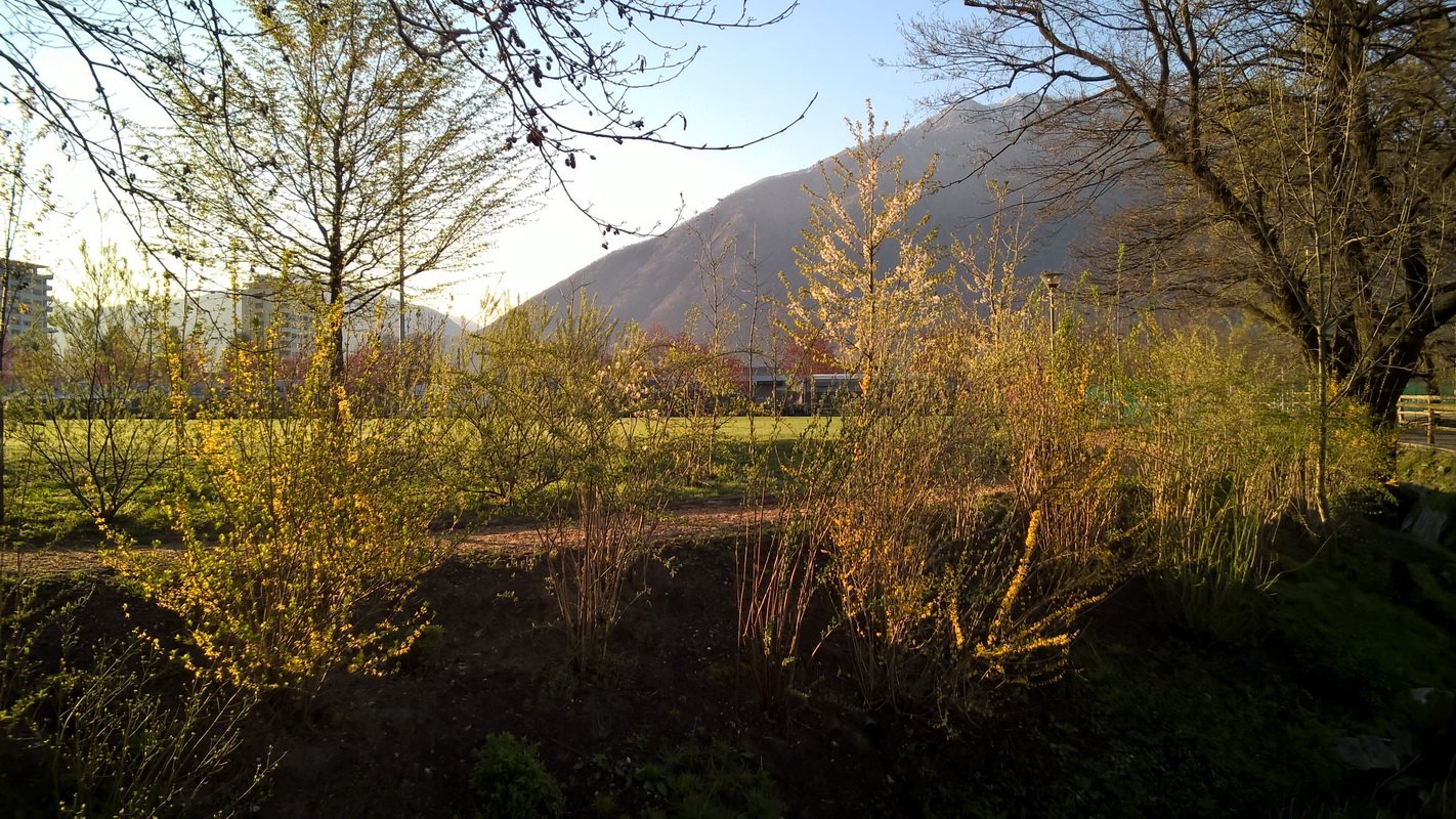 photo4.jpg