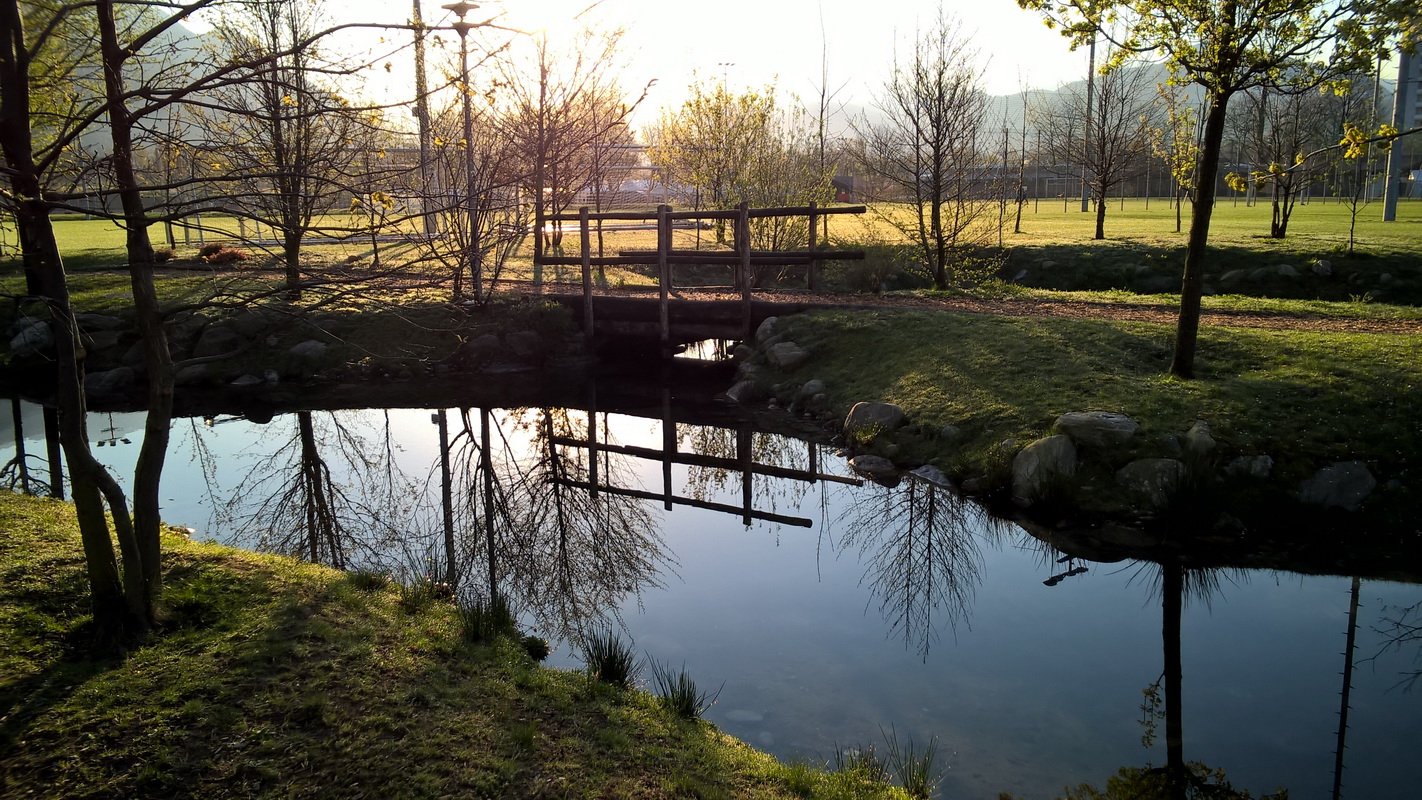 photo6.jpg
