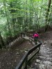IMG 20170902 122257