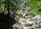 IMG 20170902 124338