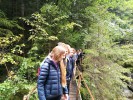 IMG 20170902 124707
