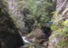 Photo 02.09.17 12 50 16