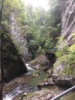 Photo 02.09.17 12 50 16
