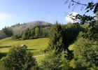 IMG 20170903 085138